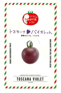 ~jg}g gXJ[ioCIbg 8 TiebNV[hij