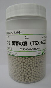 �˂� �z�t�̉��@�y���b�g��q5000�� �g�L�^��c(��) [��q/���]