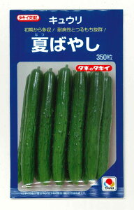 イ Ă΂₵ 350 ^LCc()