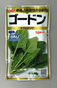 ق񂻂 S[h 100ml (悻5500) ()TJ^̃^l PROi101532j