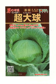 キャベツ 超大球 1ml トキタ種苗(株) [種子/野菜]