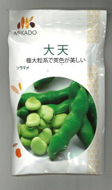 そら豆 大天 23粒 ヴィルモランみかど（株）