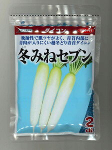 卪 ~݂˃Zu 2dl ()TJ^̃^l