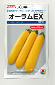 �Y�b�L�[�j �I�[����EX�@100���@�^�L�C��c�i���j [��q/���]