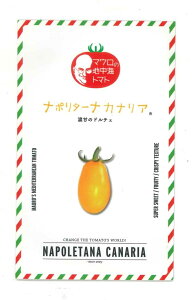 ~jg}g i|^[iJiA 100 TiebNV[hij