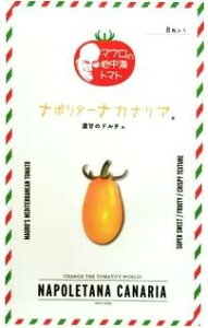 }E̒nCg}g i|^[iJiA 8 TiebNV[hij