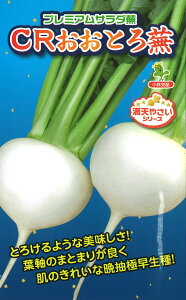  CRƂ땓@2mlюcij
