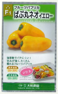 s[} pvJ ςՊۃlICG[30ija_