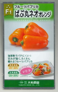 s[} pvJ ςՊۃlIIW6ija_