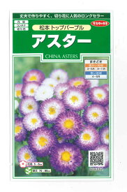 花の種　アスター　松本トップパープル　約190粒　（株）サカタのタネ　実咲
