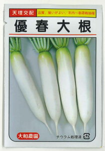 卪 Dt卪@1.5mli20j ija_