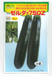 �Y�b�L�[�j �[���_�E750Z�iTSX-750Z�j 100�� �g�L�^��c(��) [��q/���]