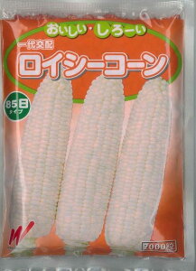 �Ƃ����낱�� ���C�V�[�R�[�� 2000�� �n�Ӕ_��(��) [��q/���]