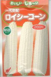 �Ƃ����낱�� ���C�V�[�R�[�� 200�� �n�Ӕ_��(��) [��q/���]