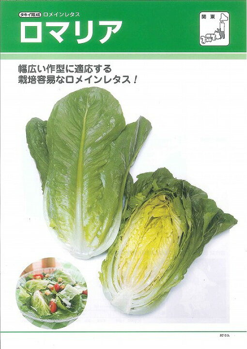 楽天市場 レタスロメインレタス ロマリアペレット100粒タキイ育成 グリーンロフトネモト 楽天市場 レタスロメインレタス ロマリアペレット100粒タキイ育成 グリーンロフトネモト