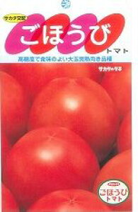 ��ʃg�}�g ���ق��� 100�� (��)�T�J�^�̃^�l [��q/���]