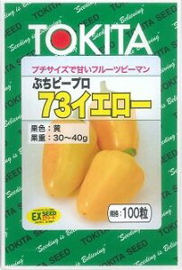 s[} Ղs[v CG[ @@@100 gL^c()