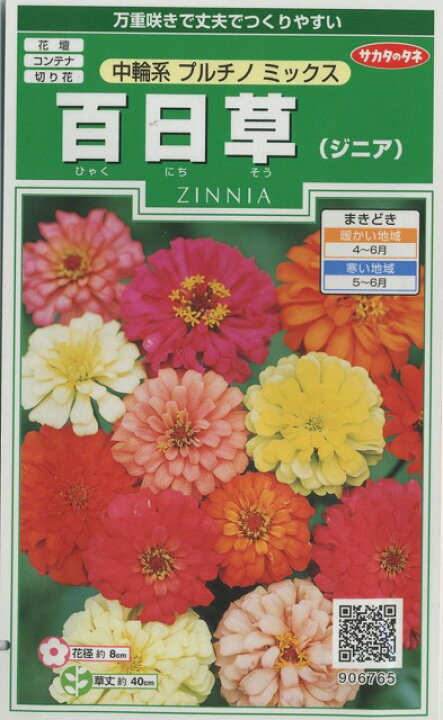 楽天市場 花の種 百日草 ジニア 中輪系プルチノミックス 約36粒サカタのタネ グリーンロフトネモト