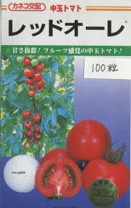 ʃg}g bhI[ 100 JlRcij