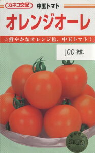 ���ʃg�}�g �I�����W�I�[�� 100�� �J�l�R��c�i���j [��q/���]