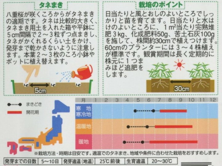 30円 【初売り】 種子 処分 百日草 ジニア ポンポン咲き 混合 サカタのタネ 22.10 切った後の芽吹きが早い ゆうパケット便可能 30円 【初売り】 種子 処分 百日草 ジニア ポンポン咲き 混合 サカタのタネ 22.10 切った後の芽吹きが早い ゆうパケット便可能