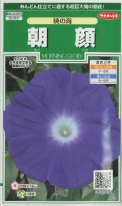 Ԃ̎  ł̊C 10 ()TJ^̃^l i026194j