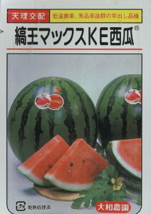 XCJ ȉ}bNXKEZ 7 ija_