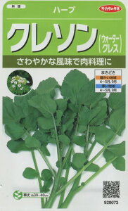 n[u̎ N\ 1100 ()TJ^̃^l i003180j