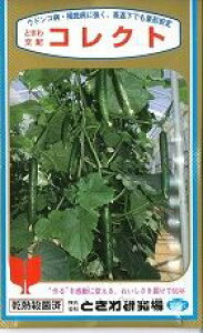 ���イ�� �R���N�g 350�� (��)�Ƃ��팤���� [��q/���]