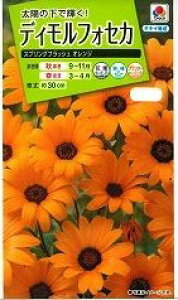 Ԃ̎ fBtHZJ XvOtbVIW 2ml ^LCc()