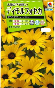 Ԃ̎ fBtHZJ XvOtbVCG[ 2ml ^LCc()