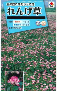 Ԃ̎ 񂰑 10ml ^LCc()