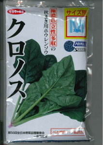 ق񂻂 NmX [qTCYME3] ()TJ^̃^l