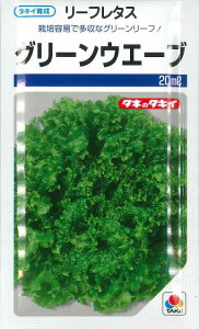 ^X [t^X O[EF[u 20ml ^LCc()