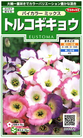 花の種 トルコギキョウバイカラー ミックス　約43粒　（株）サカタのタネ 実咲