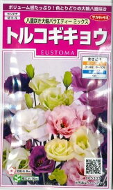 花の種　トルコギキョウ　八重咲き　大輪バラエティミックス　　約75粒（株）サカタのタネ 実咲