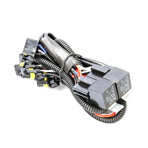 yz H4 2HID 4ϊn[lX ԌΉ 񓔎 l g^ bB NCP30 NCP31 NCP34 NCP35 H4Jv[  ԑ̑H4