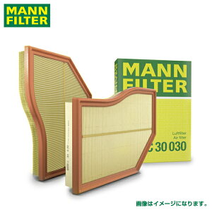 MANN ゴルフ CDDFY エアーエレメント C28043 フォルクスワーゲン 5Q0 129 620 E互換 エアエレメント エアーフィルター エアフィルター マンフィルター 交換 メンテナンス