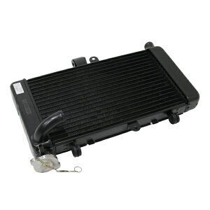 oCN WG[^[ z_ HONDA CBR250RR MC22 A~ WG^[ N[[ p ^N p[c p