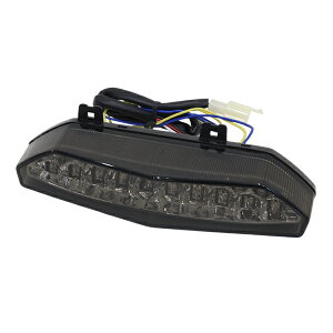 oCN LED ECJ[v t e[v JTL ZRX1200 DAEG ZX-6R 1400GTR jW E Ninja Vi