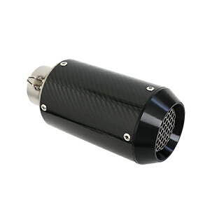 yz ZX-11 ZZR1200 ZZR1100 ZX-10R [t@-750 ZRX1200 60.5 GPV[gTCT[ tB^[t J[{ XbvI}t[ oCN P I[goC p t