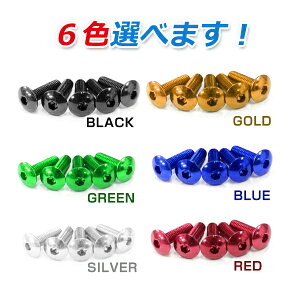 y[֑z ėp A~{g M6×20mm ubN /u[ /S[h F/O[ /bh /Vo[ F 10Zbg J[{g Zp gX{g