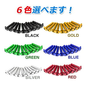 y[֑z ėp A~{g M6×30mm ubN /u[ /S[h F/O[ /bh /Vo[ F 10Zbg J[{g Zp gX{g