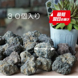 楽天市場 魚 農業資材 ガーデニング 農業 花 ガーデン Diyの通販