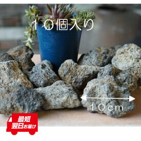 楽天市場 レイアウト 溶岩石 熱帯魚 アクアリウム ペット ペットグッズ の通販