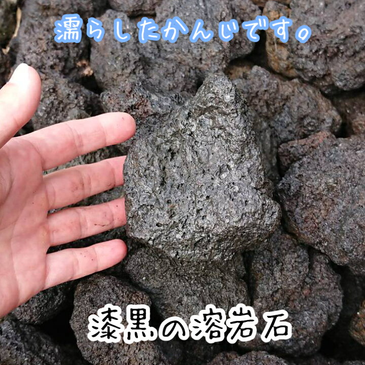 楽天市場】特選熊本阿蘇溶岩石［4-6センチサイズ］【10グラム7円 