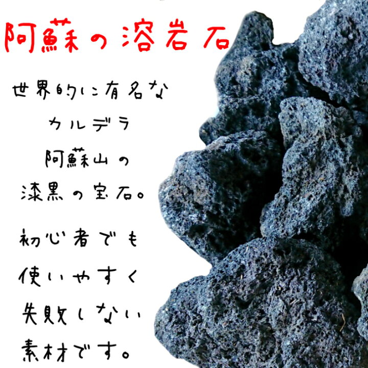 楽天市場 溶岩石 阿蘇山 10cm 約kg メダカ レイアウト アクアリウム ビオトープ 水槽 水質改善 金魚 熱帯魚 海水魚 フィルター 淡水魚 溶岩石 石 テラリウム ロックガーデン レンガ 庭 砂利 敷石 緑倶良部