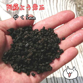 熊本阿蘇溶岩石［5ミリ前後］『量り売り』(10グラム12円)ガーデニング/水槽/水草/花壇/漁礁/造園/オリジナルガーデン/レイアウト溶岩石　アクアリム　テラリウム　ロックガーデン　メダカ　魚　熱帯魚 　05P28Sep16