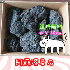 楽天市場 水質 砂利の通販