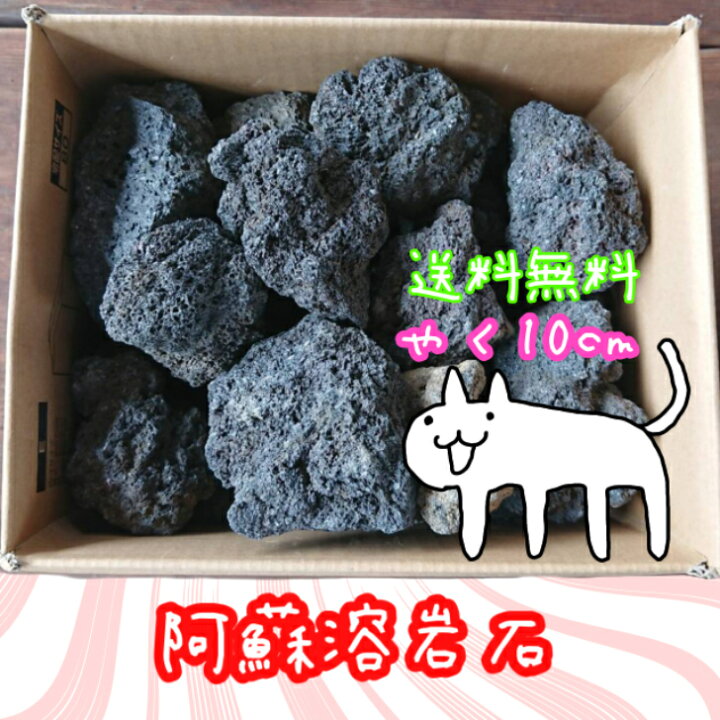 楽天市場 溶岩石 阿蘇山 10cm 約kg メダカ レイアウト アクアリウム ビオトープ 水槽 水質改善 金魚 熱帯魚 海水魚 フィルター 淡水魚 溶岩石 石 テラリウム ロックガーデン レンガ 庭 砂利 敷石 緑倶良部